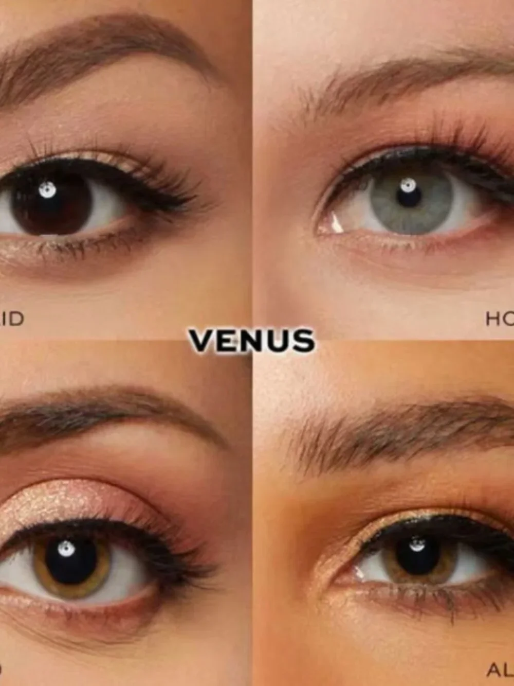 Glamnetic new venus